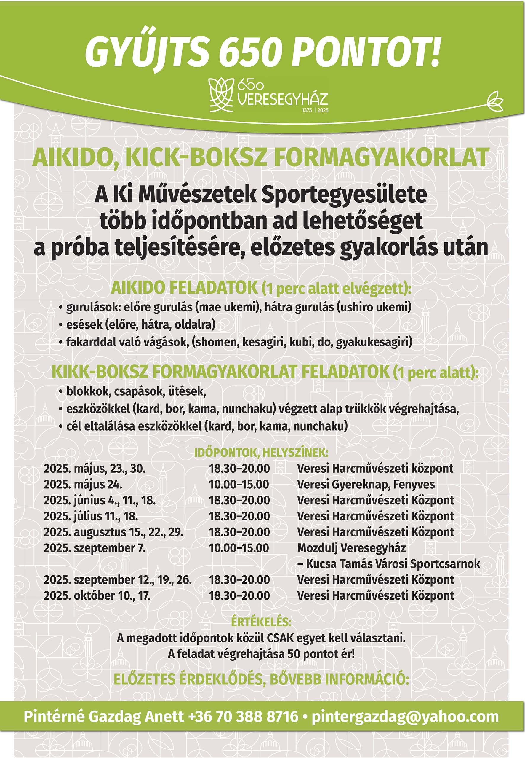 650_aikido_PRINT