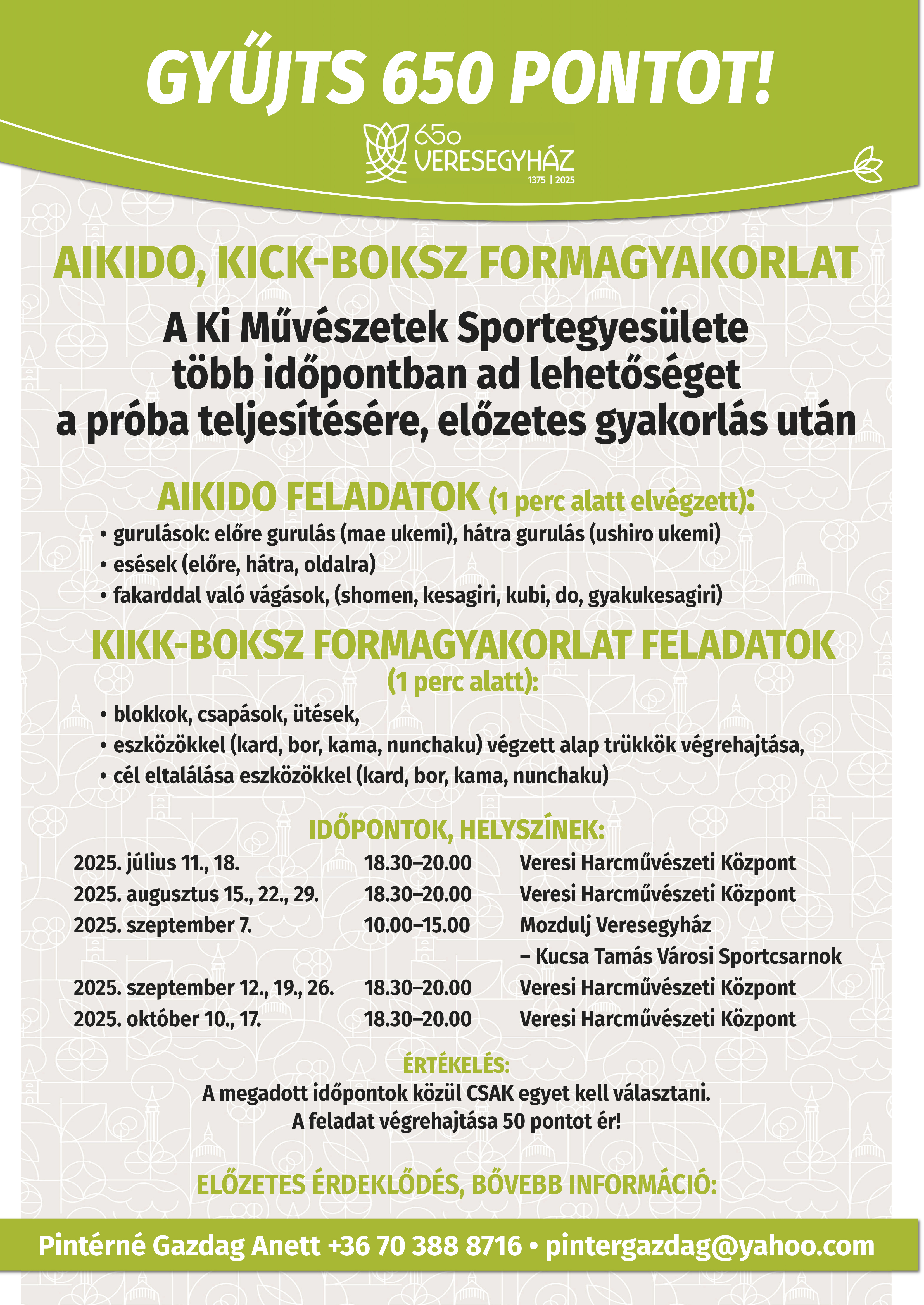 650_aikido_PRINT2