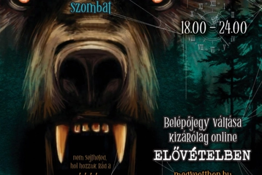 27588-veresegyhaz-halloween