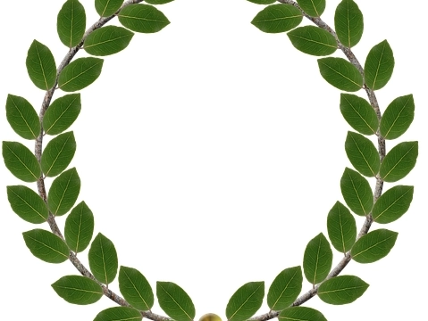 Veresegyház száz20 szóban