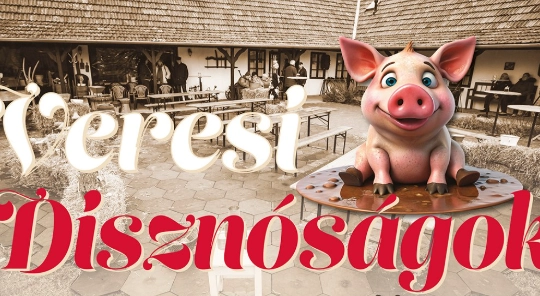 Képernyőkép 2025-02-05 153129
