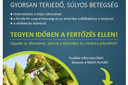 Képernyőkép 2025-08-18 105623