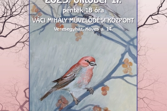 Polgár Marianne kiállítás plakát