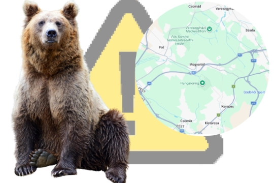 Képernyőkép 2026-02-17 140438