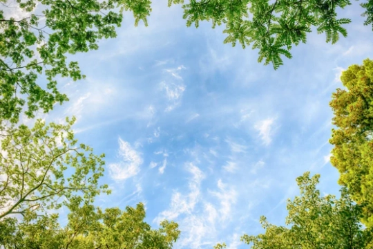 Képernyőkép 2026-02-18 115638