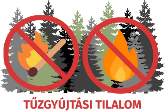Képernyőkép 2026-06-22 162412