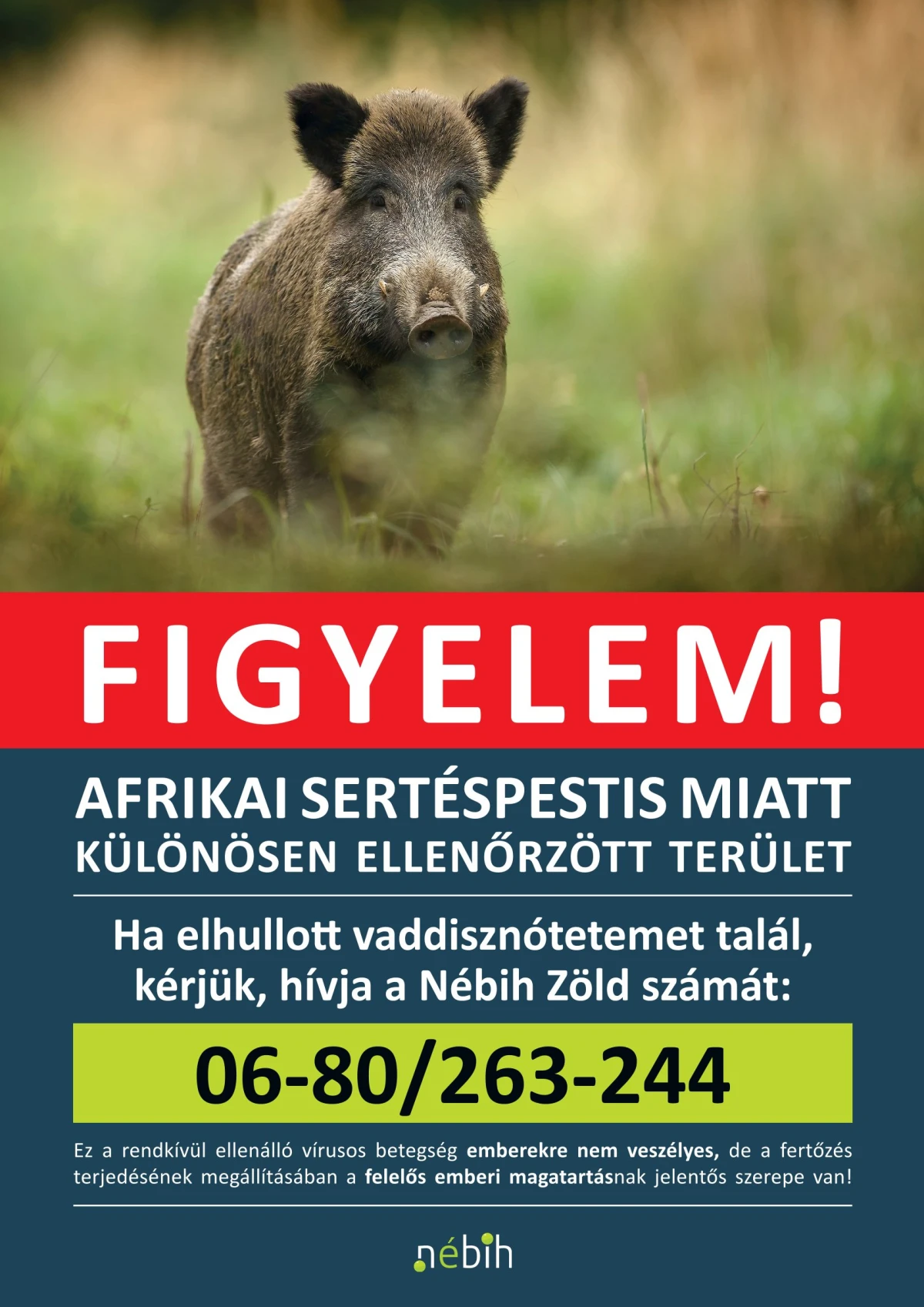 K_27629_1_2026_Kulonosen fertozott terulet-1