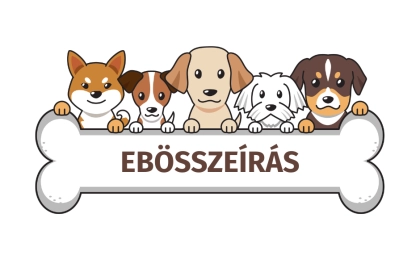 EBÖSSZEÍRÁS